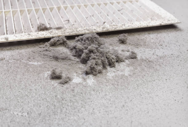 Best Affordable Air Duct Cleaning  in Forest Heights, TX