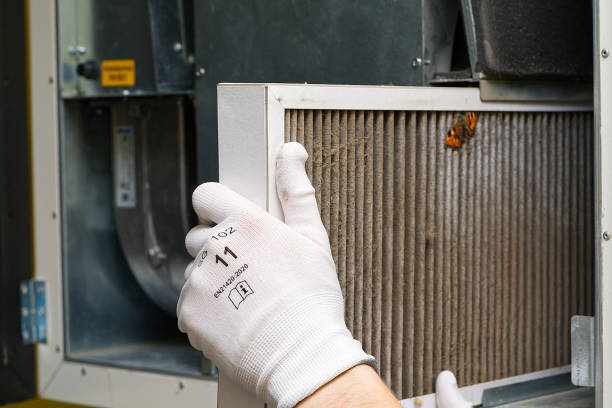 Best Air Duct Cleaning Cost  in Forest Heights, TX
