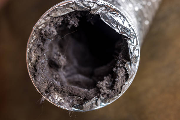 Best Air Duct Cleaning Company Near Me  in Forest Heights, TX